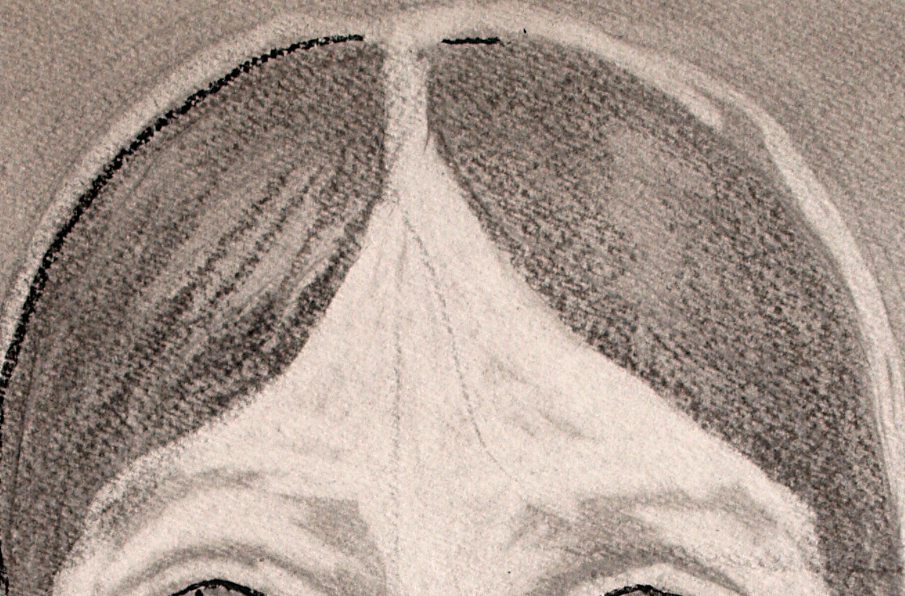 'fanatical criminal'